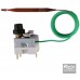REGULUS 95H110R09 / 04756 Termostat havarijné 90-110 ° C, kapilára 1,5m 10740