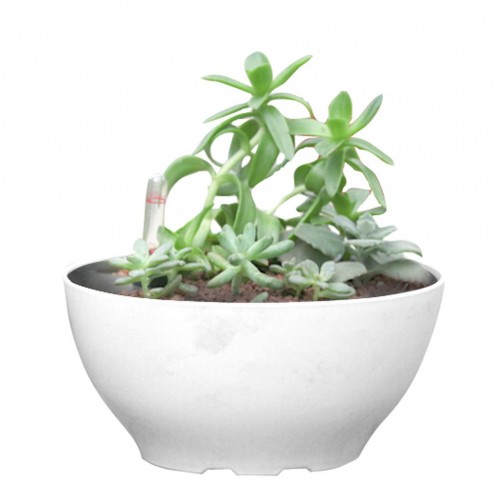 Samozavlažovací kvetináč G21 Ring big biely 22cm 6392560 Samozavlažovací kvetináč G21 Ring big biely 22cm 6392560