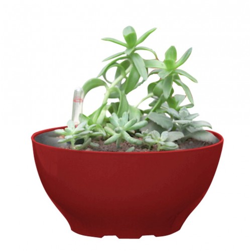 Samozavlažovací kvetináč G21 Ring big červený 22cm 6392562