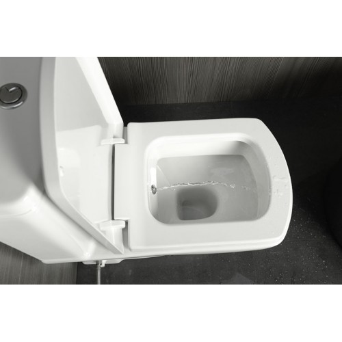 SAPHO BASIC WC misa kombi s integrovanou bidetovou spŕškou, spodný/zadný odpad 71122340