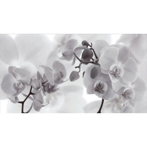 SAPHO DESERT Decor Fiore Negro keramická obkladačka 27x50 DST019 SAPHO DESERT Decor Fiore Negro keramická obkladačka 27x50 DST019