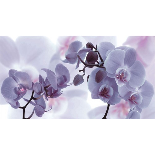 SAPHO DESERT Decor Fiore Lila keramická obkladačka 27x50 DST021