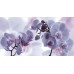 SAPHO DESERT Decor Fiore Lila keramická obkladačka 27x50 DST021