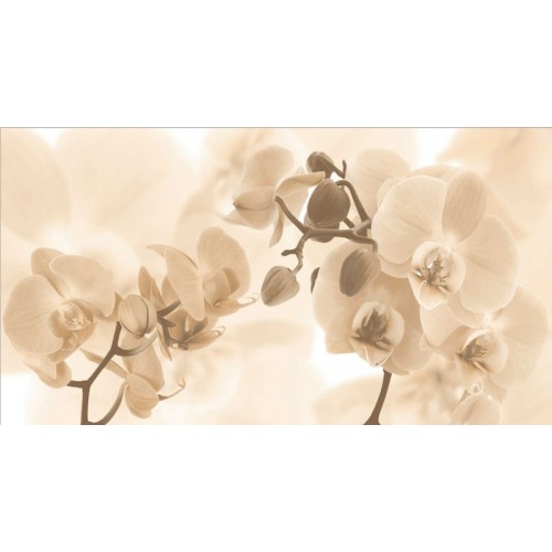 SAPHO DESERT Decor Fiore Negro keramická obkladačka 27x50 DST022 SAPHO DESERT Decor Fiore Negro keramická obkladačka 27x50 DST022