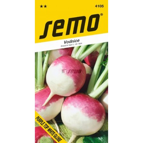 SEMO Okrúhlica PURPLE TOP WHITE GLOBE 4105