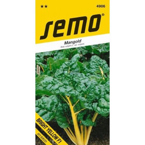SEMO Mangold BRIGHT YELLOW F1 4906 SEMO Mangold BRIGHT YELLOW F1 4906