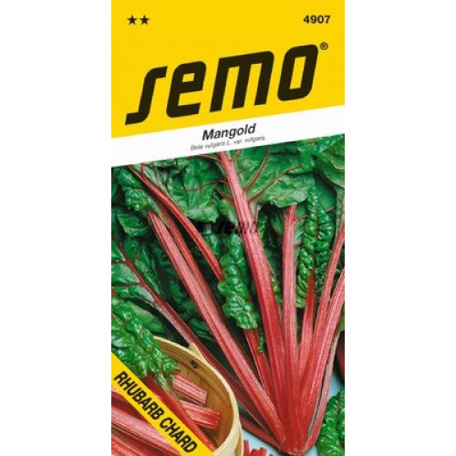 SEMO Mangold Rhubarb CHARD 49072 SEMO Mangold Rhubarb CHARD 49072