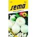 SEMO Cibuľa všeobecná AGOSTANA - biela 05029