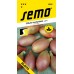 SEMO Cibuľa všeobecná Elista - podlhovastá 05339