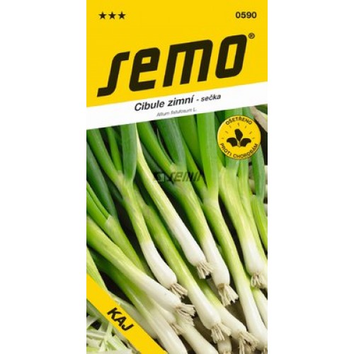 SEMO Cibuľa zimná KAJ 0590 SEMO Cibuľa zimná KAJ 0590