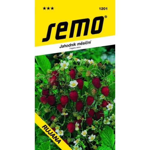 SEMO Jahodník Rujana 12019 SEMO Jahodník Rujana 12019