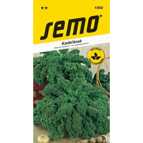 SEMO Kadeřávek HALBHOHER GRÜNER Krauser 130299 SEMO Kadeřávek HALBHOHER GRÜNER Krauser 130299