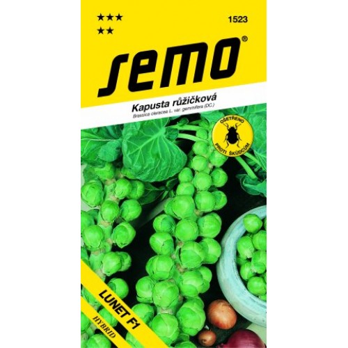SEMO kel ružičkový LUNET F1 1523 SEMO kel ružičkový LUNET F1 1523
