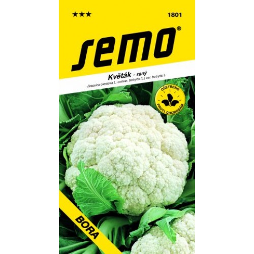 SEMO Karfiol BORA 180199 SEMO Karfiol BORA 180199