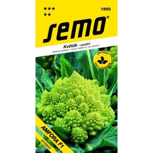 SEMO Karfiol VERONICA F1 (typ Romanesco) 1892