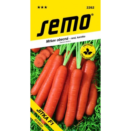 SEMO Mrkva obyčajná JITKA F1 22629