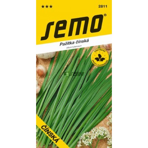 SEMO Pažítka ČÍNSKA (Allium tuberosum) 28119