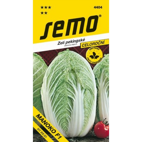 SEMO čínska kapusta MANOKO F1 4404 SEMO čínska kapusta MANOKO F1 4404