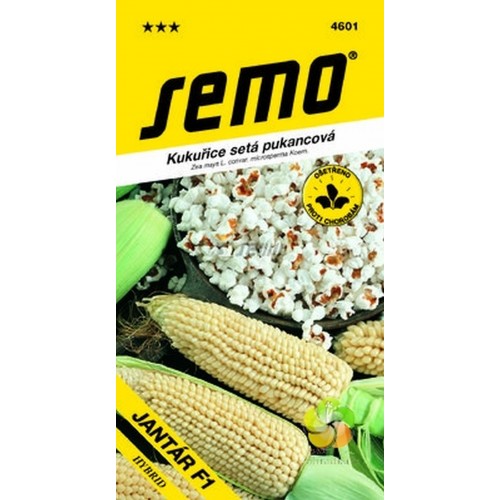 SEMO Kukurica siata pukancová JANTÁR F1 46019 SEMO Kukurica siata pukancová JANTÁR F1 46019