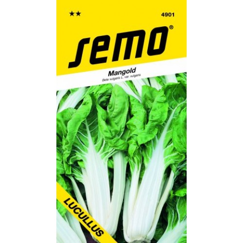 SEMO Mangold Lucullus 4901 SEMO Mangold Lucullus 4901