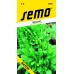 SEMO Mangold Perpetual Spinach (GATOR) 4905