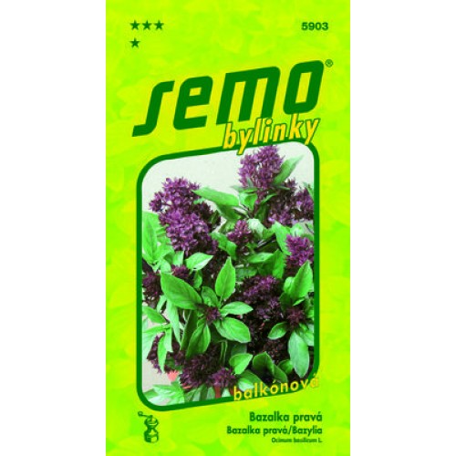 SEMO Bazalka pravá SIAM QUEEN 59039