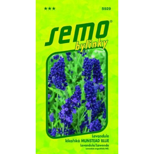 SEMO Levanduľa lekárska Lavandula MUNSTEAD BLUE 5929