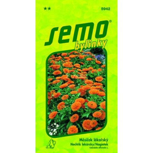 SEMO Nechtík lekársky 5942 SEMO Nechtík lekársky 5942