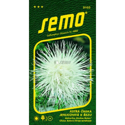 SEMO Astra čínska ELECTRIC BIELA 91039