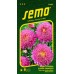 SEMO Astra čínska SUPER PRINCESS RUŽOVÁ 91099