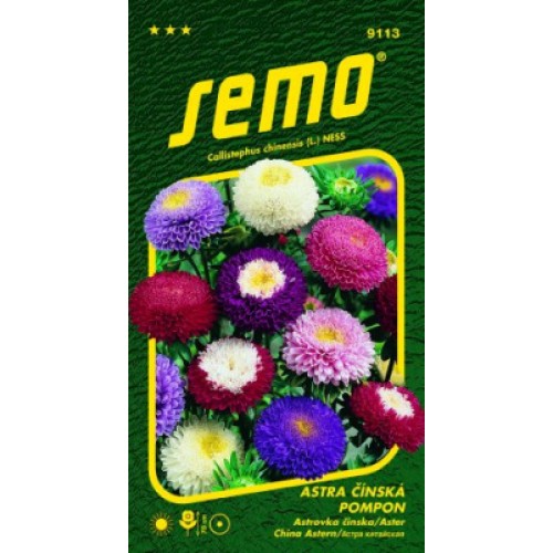 SEMO Astra čínska Pomponi ZMES 9113 SEMO Astra čínska Pomponi ZMES 9113