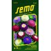SEMO Astra čínska Pomponi ZMES 9113
