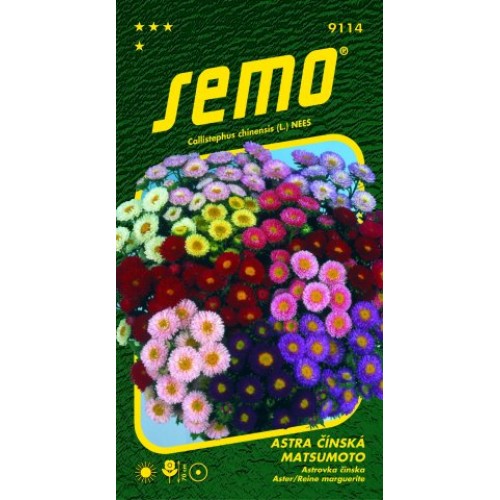SEMO Astra čínska Matsumoto ZMES 9114 SEMO Astra čínska Matsumoto ZMES 9114