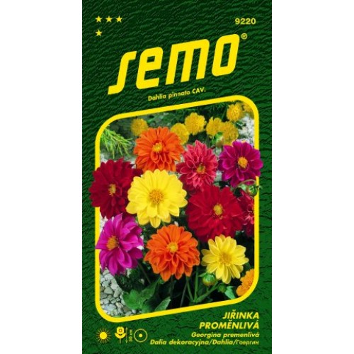 SEMO Jiřinka premenlivá KOMPAKT ZMES 9220