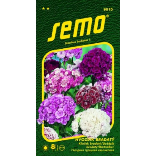 SEMO Hvozdík bradatý ZMES 9225