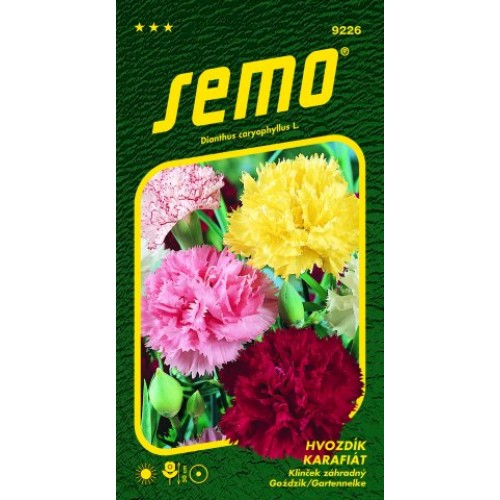 SEMO Hvozdík karafiát ZMES 92269 SEMO Hvozdík karafiát ZMES 92269