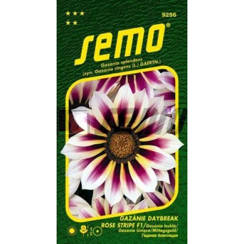 SEMO Gazania žiarivá DAYBREAK ROSE STRIPE F1 9256