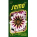 SEMO Gazania žiarivá DAYBREAK ROSE STRIPE F1 9256