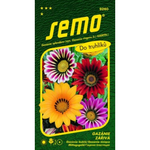 SEMO Gazania žiarivá ZMES 9260 SEMO Gazania žiarivá ZMES 9260