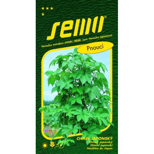 SEMO Chmeľ japonský Humulus 93259 SEMO Chmeľ japonský Humulus 93259