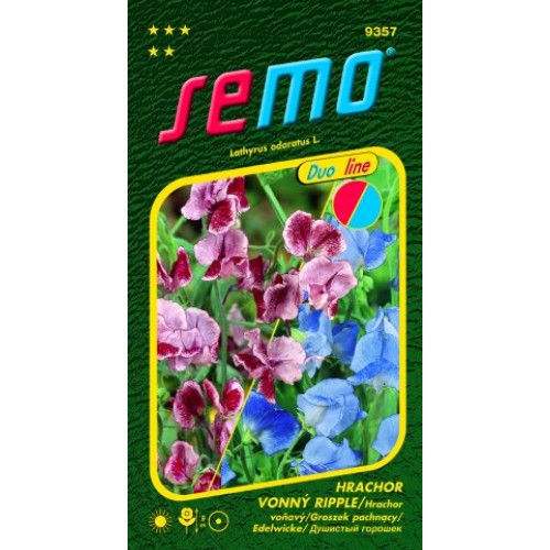 SEMO Hrachor vonný CRIMSON AND BLUE RIPPLE 935 SEMO Hrachor vonný CRIMSON AND BLUE RIPPLE 935