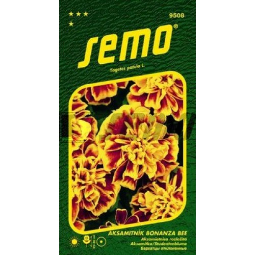 SEMO Aksamietnica rozložitá BONANZA BEE 95089 SEMO Aksamietnica rozložitá BONANZA BEE 95089