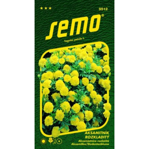 SEMO Aksamietnica rozložitá LEMON DROP 9512 SEMO Aksamietnica rozložitá LEMON DROP 9512