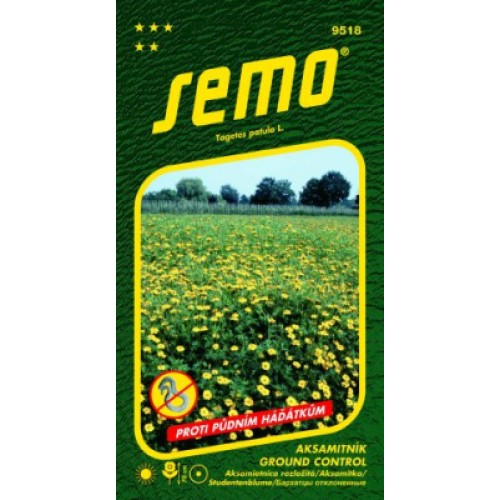 SEMO Aksamietnica rozložitá GROUND CONTROL 9518