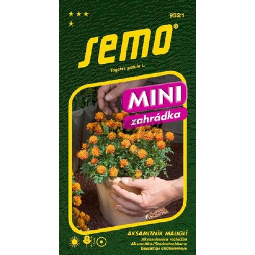 SEMO Aksamietnica rozložitá Mauglí 9521 SEMO Aksamietnica rozložitá Mauglí 9521