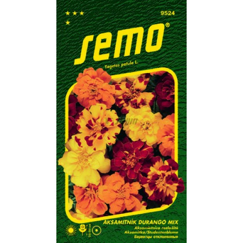 SEMO Aksamietnica rozložitá DURANGO MIX 9524 SEMO Aksamietnica rozložitá DURANGO MIX 9524