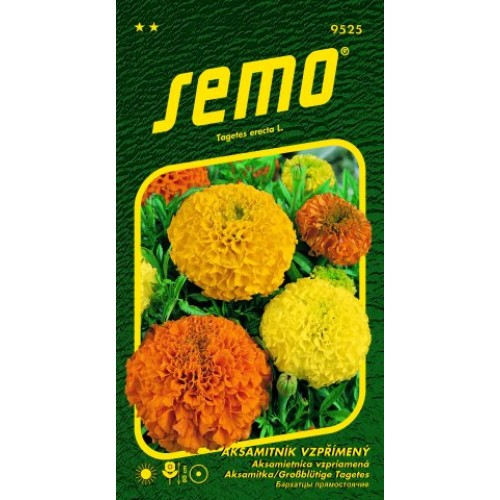 SEMO Aksamietnica vzpriamený DOUBLE GRANDE ZMES 9525 SEMO Aksamietnica vzpriamený DOUBLE GRANDE ZMES 9525