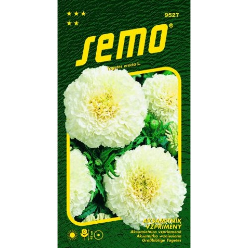 SEMO Aksamietnica vzpriamený KILIMANJARO WHITE 9527 SEMO Aksamietnica vzpriamený KILIMANJARO WHITE 9527