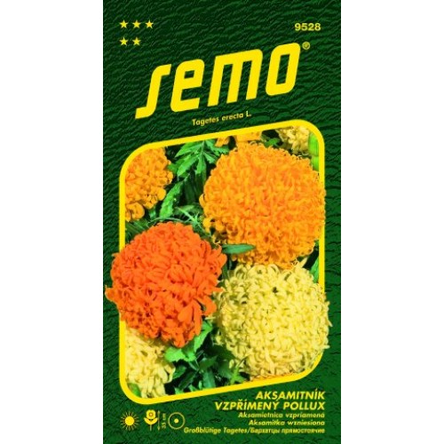 SEMO Aksamietnica vzpriamený POLLUX 9528 SEMO Aksamietnica vzpriamený POLLUX 9528