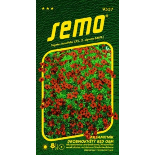 SEMO Aksamietnica drobnokvetá červený 95379 SEMO Aksamietnica drobnokvetá červený 95379